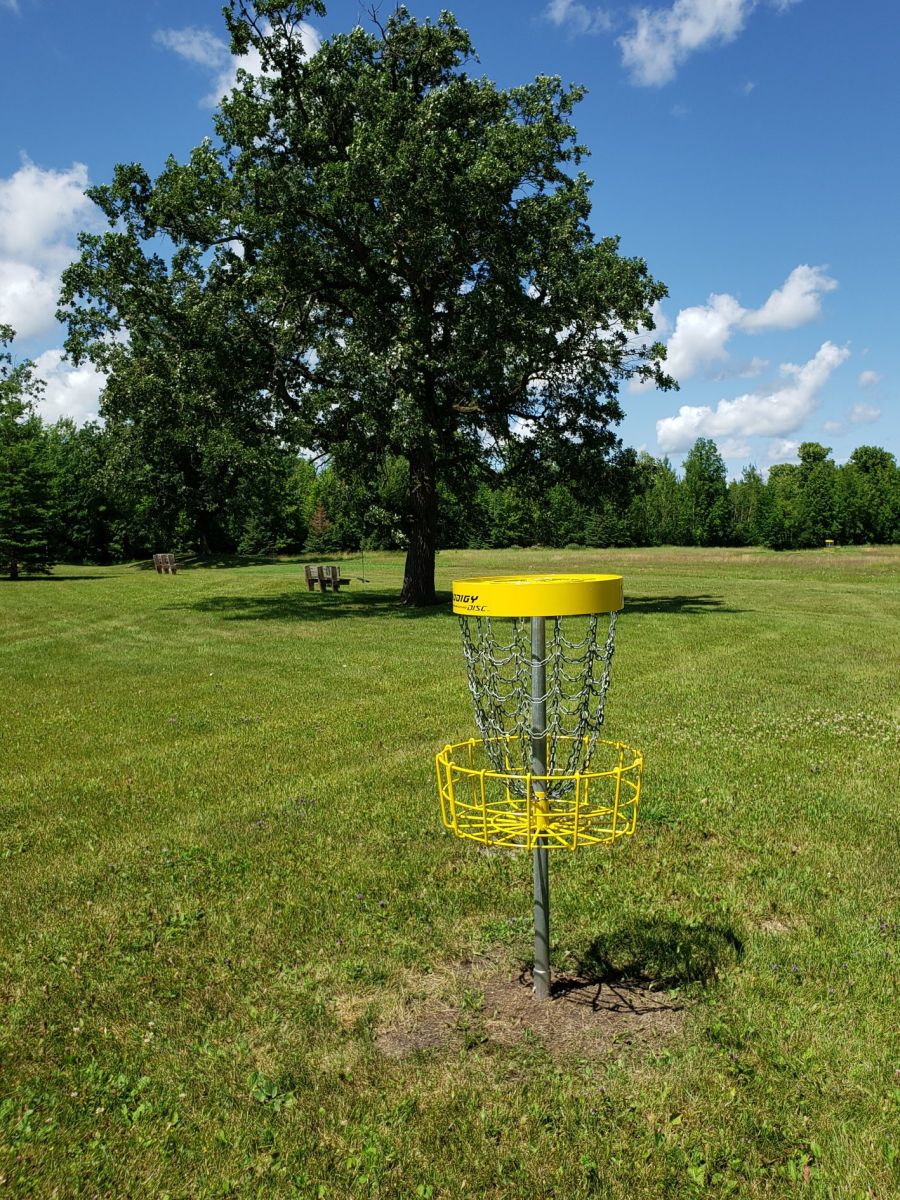 disc golf 